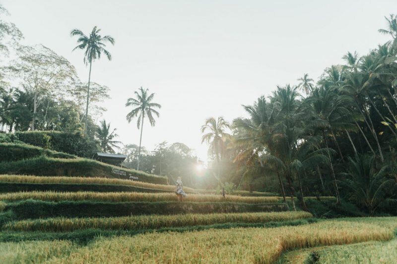 Things to do in Ubud: See the sunrise at Tegalalang Rice Terraces