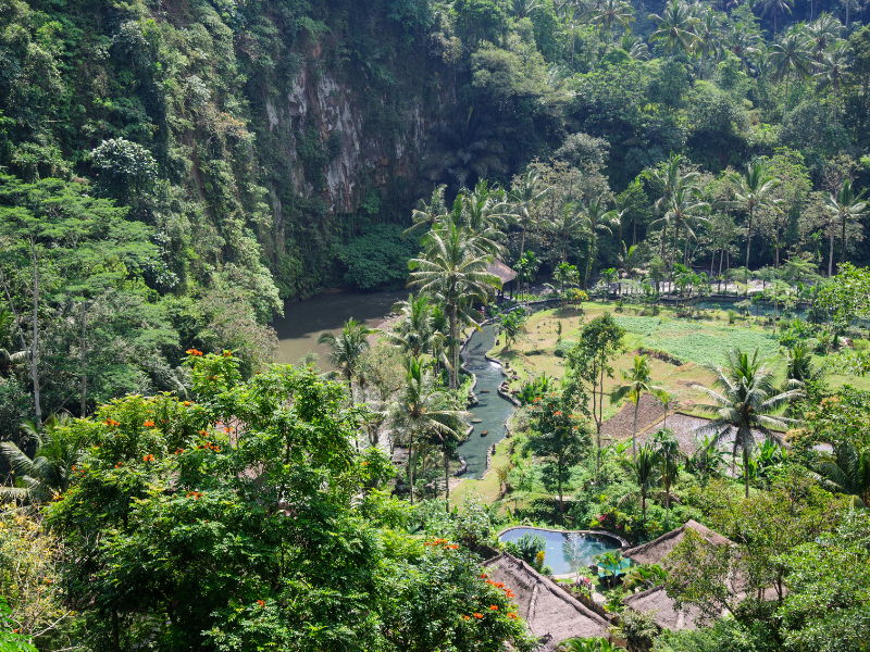 Things to do in Ubud: Stay in a jungle resort!