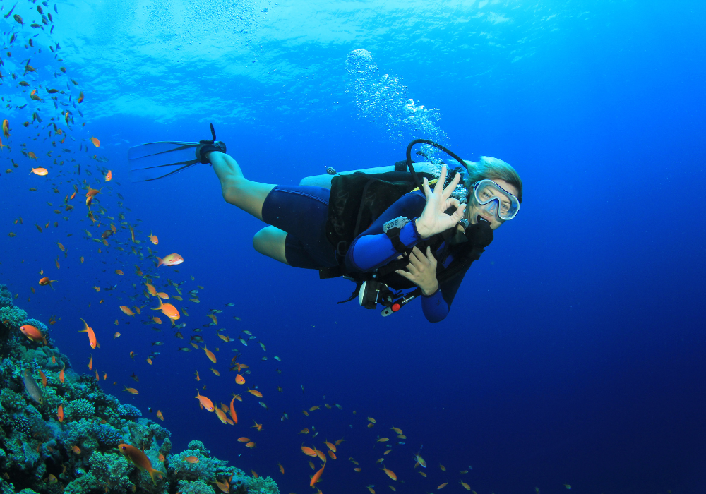 Best scuba diving sites off Koh Chang, Thailand